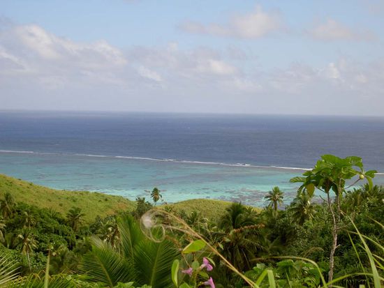 Aussicht vom Maungapu nach Westen...