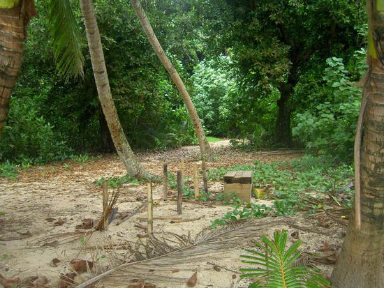 Die Ueberreste des Survivor Camps