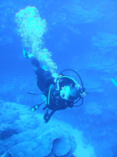 da begucke ich grade eine Schildkroete 