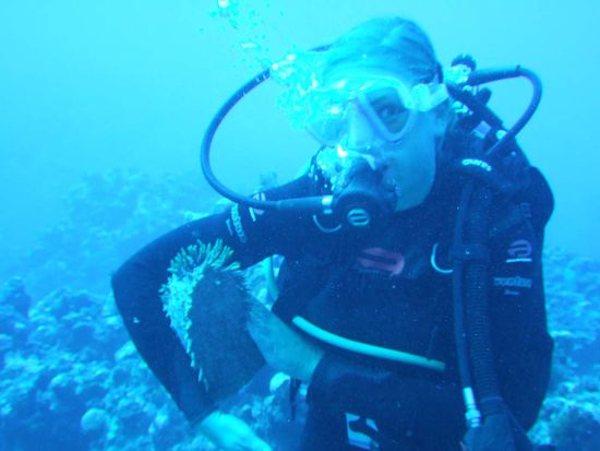 diese Seegurke haette ich am liebsten mitgenommen!