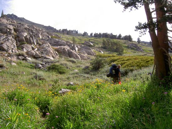die schwarze Rolle, die da hinten an meinem Rucksack klebt ist überings der Baerenkanister