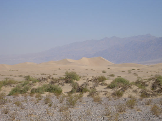 ein wenig Sand muss sein