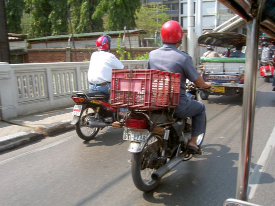 Tuk Tuk fahren - eine Pufferzone gibt es hier nicht