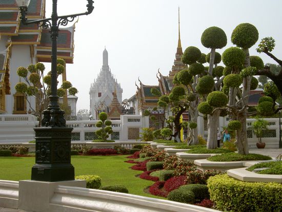 Die Baeume sehen aus wie kleine Pilze - und alles ist super sauber