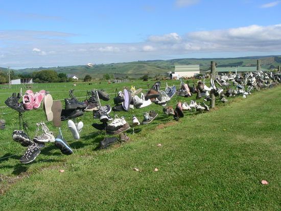 Der besonders originelle Zaun in der Nähe des Lake Waihola
