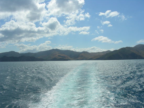 Bye bye Südinsel. Bis zum nächsten Urlaub!