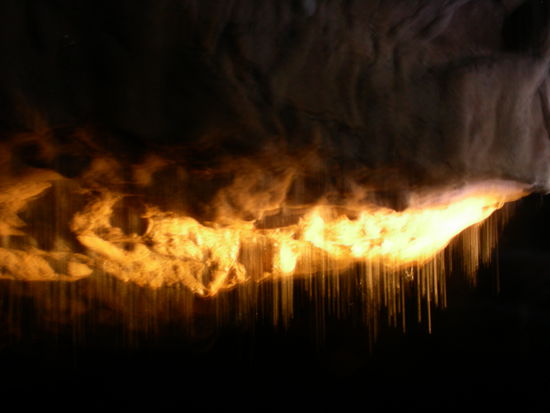 Die Fäden der Glühwürmchen - damit wird Nahrung gefangen