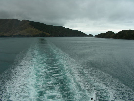 Fahrt durch die Marlborough Sounds