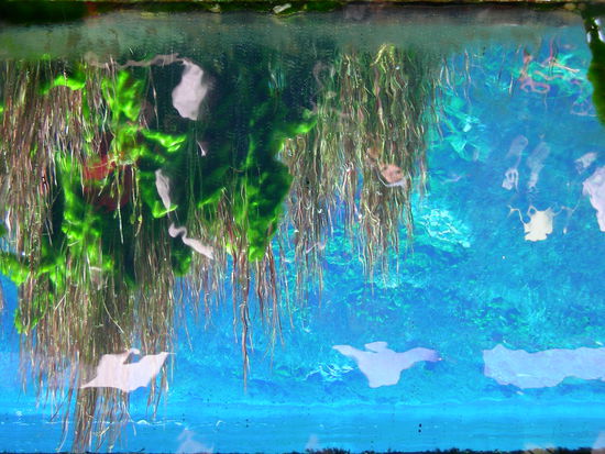 Zwar Seitenverkehrt, aber durch einen Spiegel kann man unter Wasser schauen. Wirklich klasse.