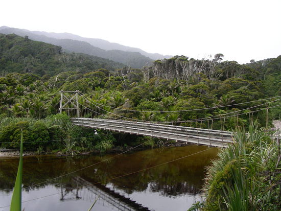 Der Einstieg in den Heaphy Track - ueber diese Bruecke geht es auch in die Palmenwaelder, die man am anderen Ende schon erkennen kann.