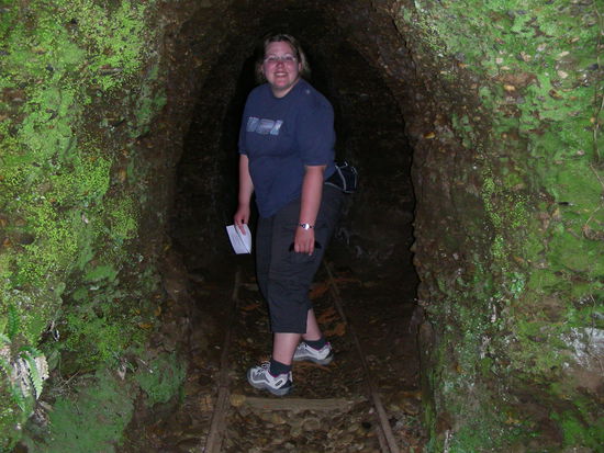 Bine auf den Spuren des edlen Metalls