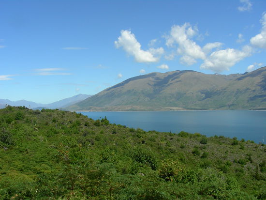 Wortlos schoen! Lake Wanaka...