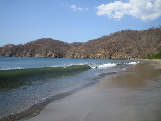 Das erste mal an einem pazifischen Strand. Der Sand ist fast schwarz ind die Wellen sind zum Teil ziemlich hoch.
Leider wehte bei unserem Aufenthalt ein so starker Wind, dass man die ganze Zeit wie ein paniertes Plaetzchen aussah 
