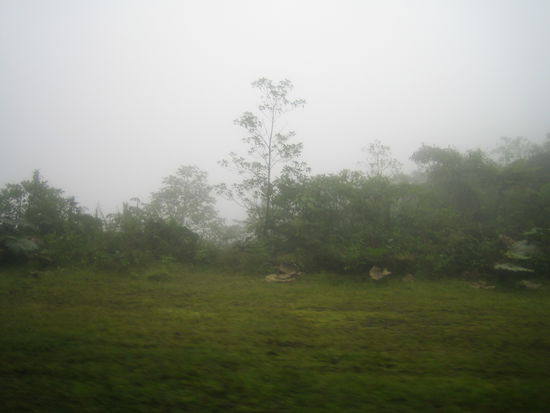 fast wie in der Schweiz (Nebel) auf dem Weg nach Tortuguero
