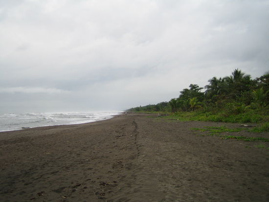 Strand von Tortuguero, wegen der starken Stroemung nicht zum Baden geeignet.