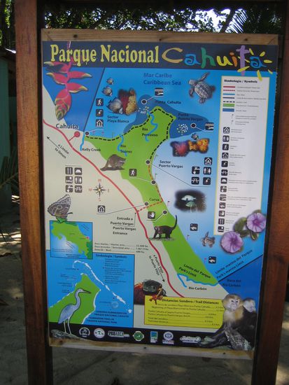 Fuer diesen Weg durch den Nationalpark braucht man in der Regel 2.5h wie uns gesagt wurde. Aber da wurde nicht mit David gerechnet! Alle die ihn besser kennen, wissen dass er sich sehr intensiv mit Sachen auseinandersetzt, die ihm gefallen. Wir hatten fuer den Weg 4h und dies auch nur, weil ich ihn immer wieder vorwaerts getrieben habe  