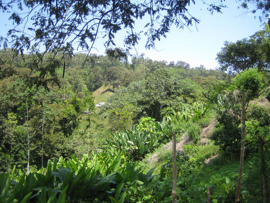 Auf dem Weg an dem Strand