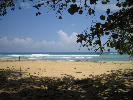 Strand auf der Insel Bastimentos
