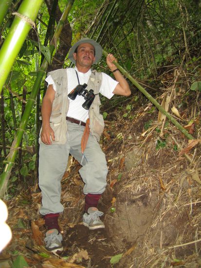 Unsere Fuehrer Eduardo, mit dem wir eine 4h Wanderung (z.T auf dem Quetzal Trail) unternommen haben. Wir haben uns sagen lassen, das er der Beste sei, wenn es darum geht, einen Quetzal aufzuspuehren.... wir haben keinen gesehen  Naja es war trotzdem sehr interessant und lehrreich! Wir wissen jetzt, z.B. wie man aus einem Blatt ein Trinkgefaess "bastelt" und daraus Quellwasser trinkt!