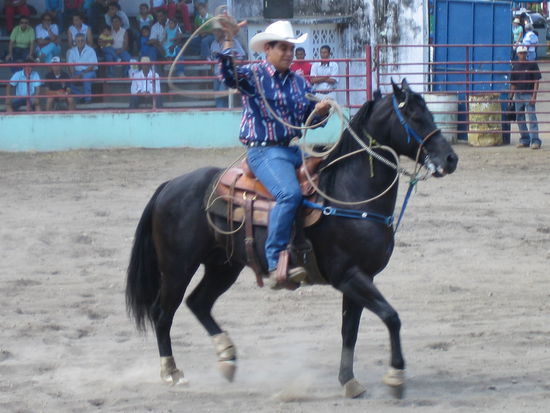 Bei einem Tagesausflug in das bruetend heisse David (zweitgroesste Stadt Panamas). Zufaelligerweise war in dieser Woche "La Feria" was etwa der BEA in Bern entspricht. Diese Gelegenheit liesen wir uns natuerlich nicht nehmen um die Sache etwas genauer unter die Lupe zu nehmen.