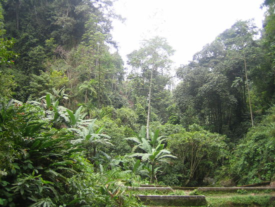 Auf unserer Wanderung im Nationalpark HP wo wir diese Idylle antraffen.