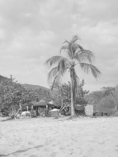 Ein Experiment von Fabienne *stolz*