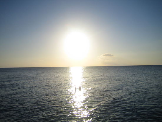 Fabienne im Strahlenmeer 