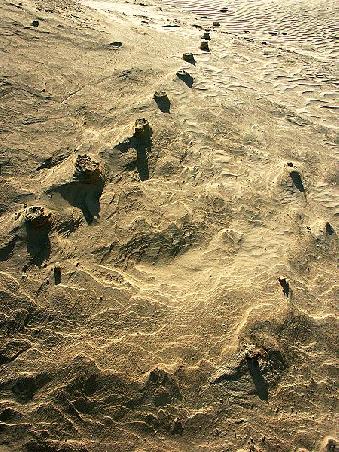 Strukturen im Sand