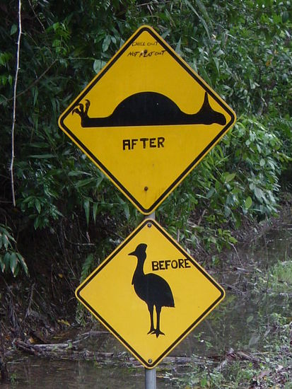 das wohl bekanteste Verkehrsschild
Australiens