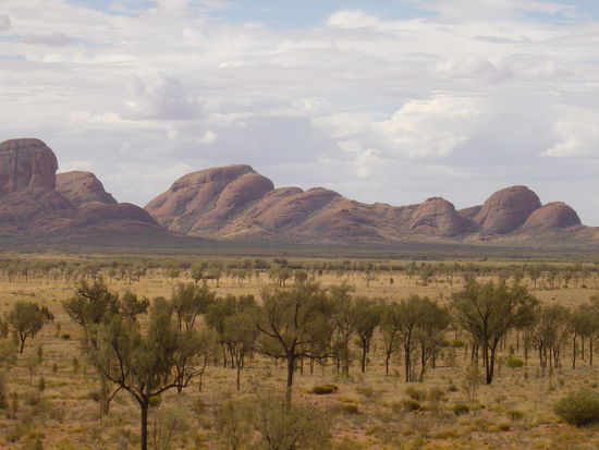 Olgas, sorry weis nicht mehr wie sie
richtig heissen.