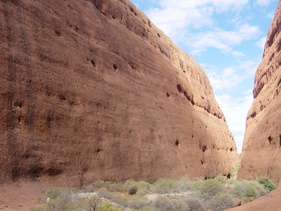 "awesome" and "impressive"