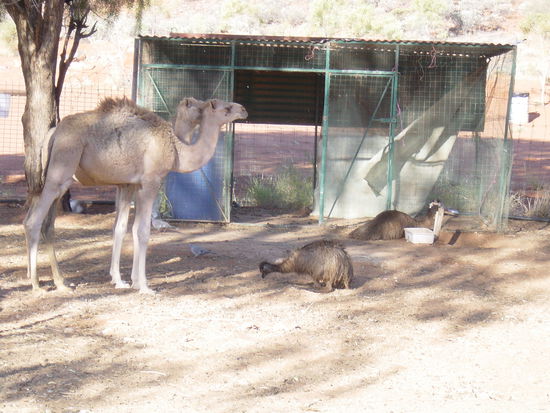 was stimmt hier nicht? und wenn, wieso?