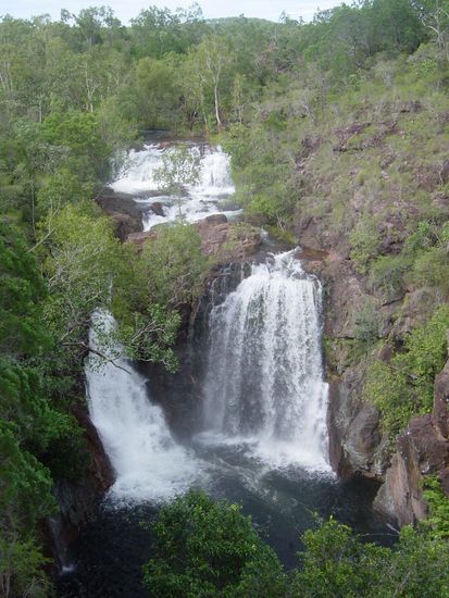 Litchfield NP 
Viel Wasser = huebschere Fotos