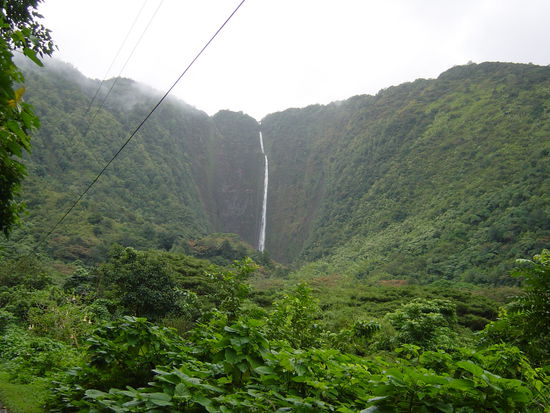 Jurassic Park laesst gruessen 