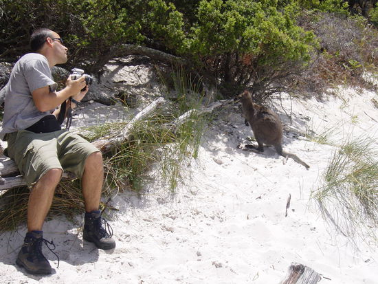chom du du, ja ja kitte kit, wer bisch denn Du, lueg etz do ane du bloeds Ding du...