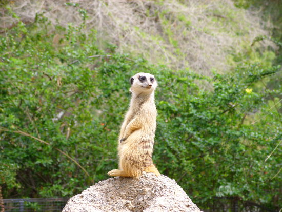 Mareike hat zum Geburtstag eine neue Kamera bekommen die solche Fotos erlaubt