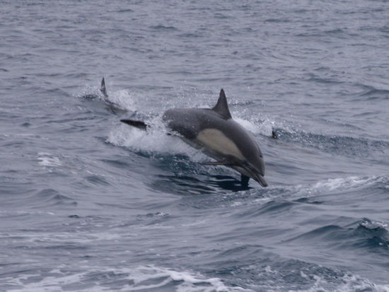 Wahnsinn! Wär ich da gern dabei gewesen!