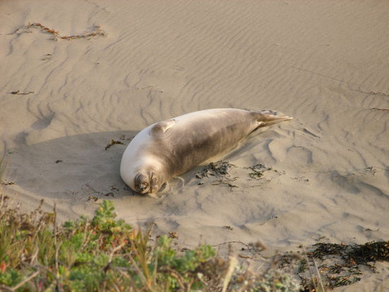 Diese sonnte sich gemütlich direkt unterhalb des Parkplatzes