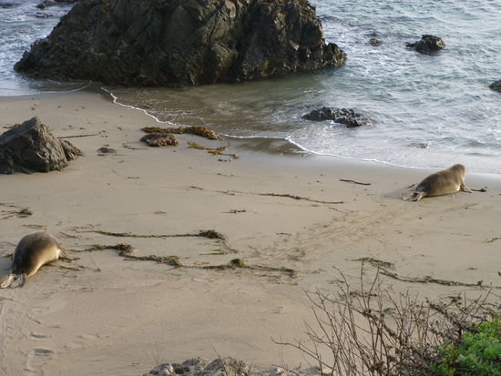 Zwei auf dem Weg ins Wasser