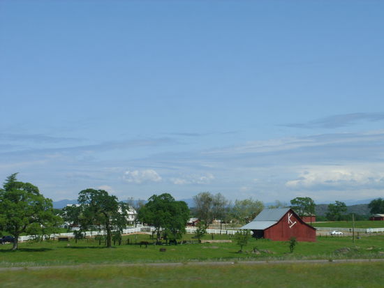 Grünes Farmland