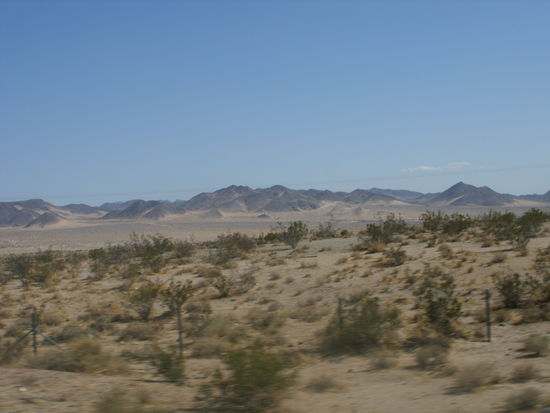 Dann wurd es immer trockener