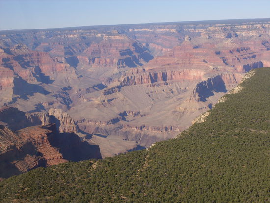 Hier sieht man gut wie der Wald bis an den Rand geht