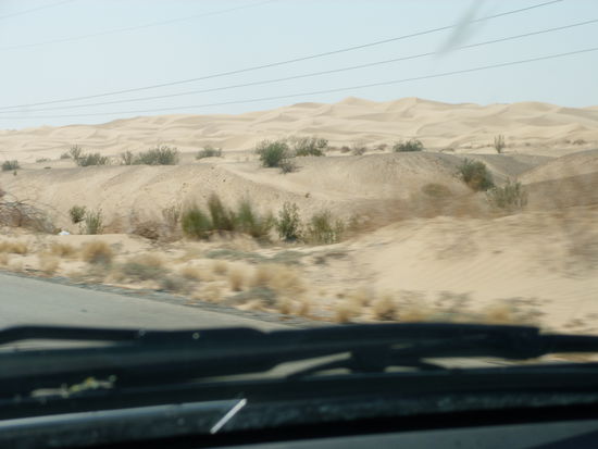 Dünen in Kalifornien
Ein Riesenstaat mit unterschiedlichsten Klima- und Vegetationszonen