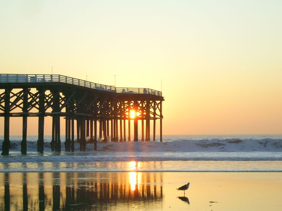 Crystal Pier in PB
