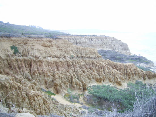 Torrey Pines State Park