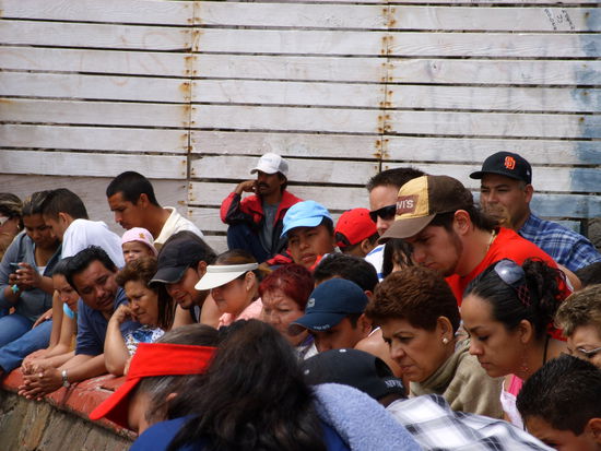 Wer sieht den weißen Georg?