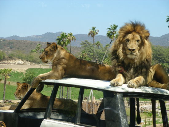 Immer wieder schön!