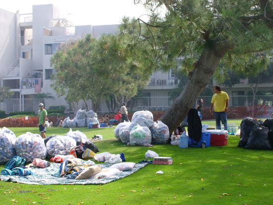 Der große Tag der Dosensammler
Jede gibt 5 cents!