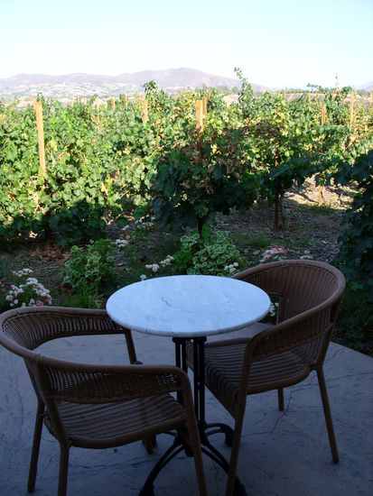 Unsere kleine Terasse mitten zwischen den Weinreben. Weinberg gabs da keinen weil alles sehr flach war.