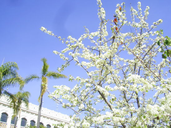 Es ist übrigens Winter
